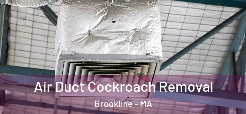 Air Duct Cockroach Removal Brookline - MA