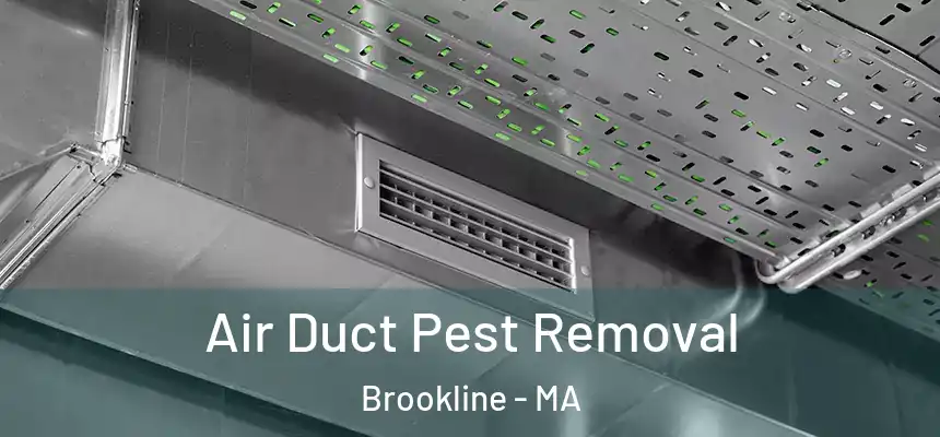 Air Duct Pest Removal Brookline - MA