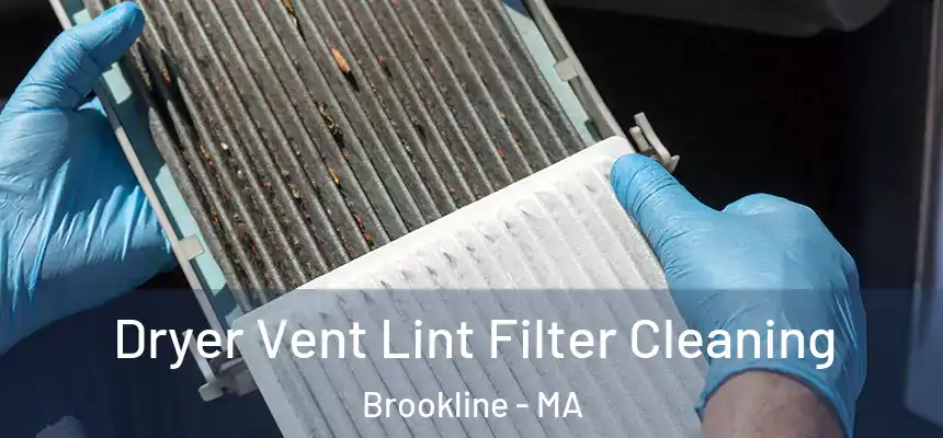  Dryer Vent Lint Filter Cleaning Brookline - MA