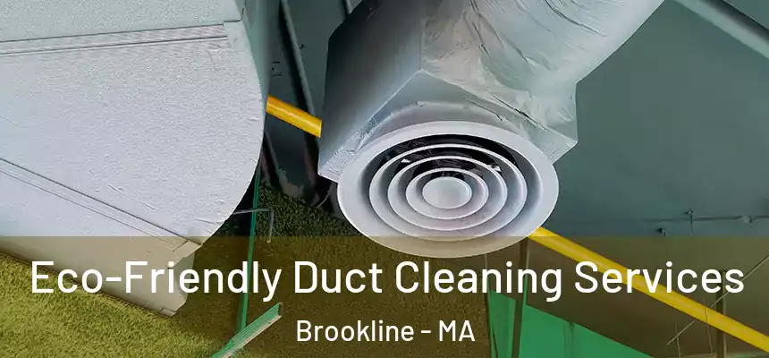  Eco-Friendly Duct Cleaning Services Brookline - MA