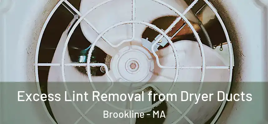 Excess Lint Removal from Dryer Ducts Brookline - MA