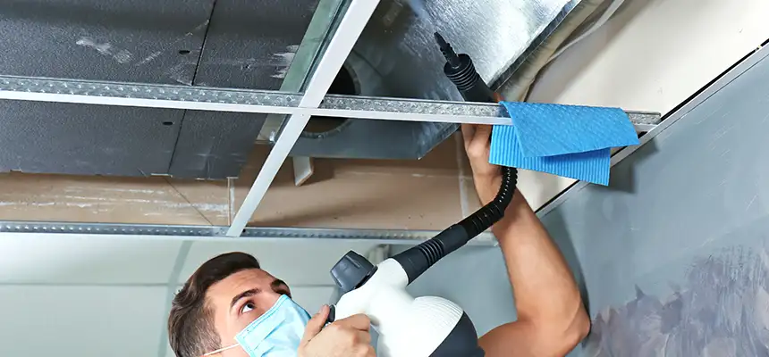 Our Air Duct Rodent Removal Services in Brookline, MA