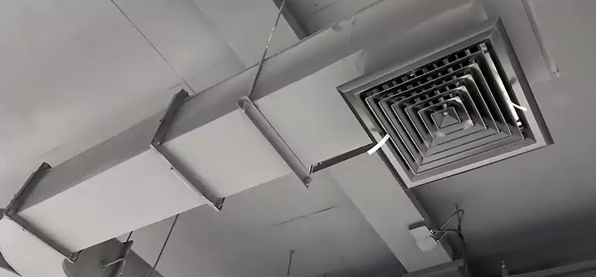 Restorative Allergy Relief Vent Cleaning – Coil, Blower & Housing Detail in Brookline