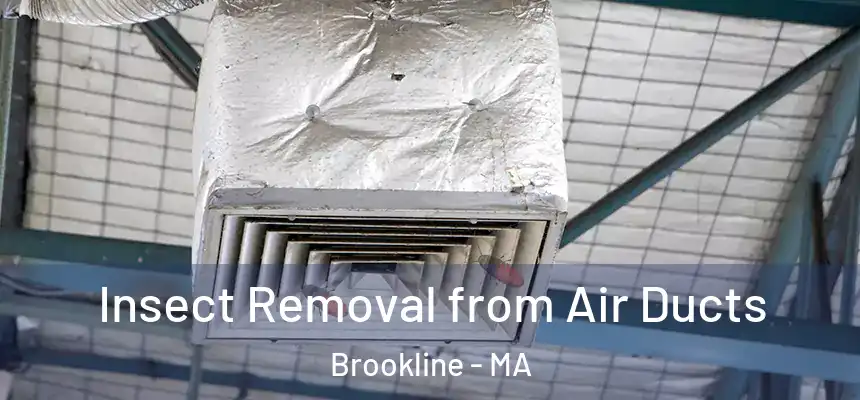 Insect Removal from Air Ducts Brookline - MA