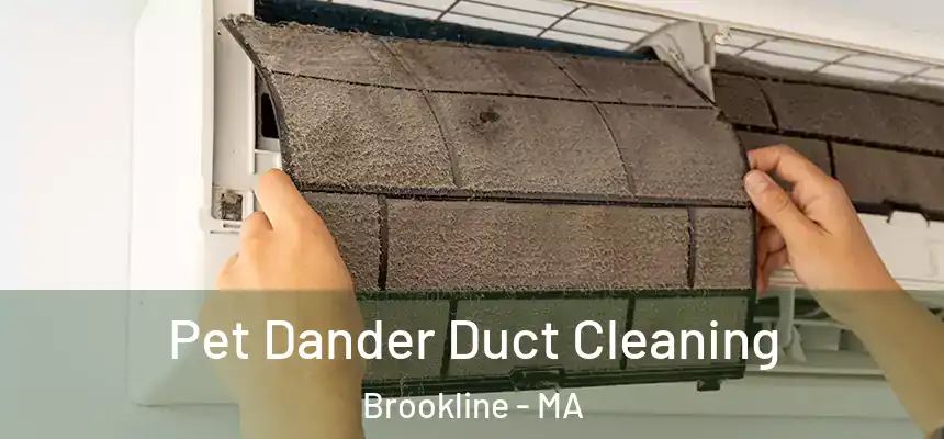  Pet Dander Duct Cleaning Brookline - MA