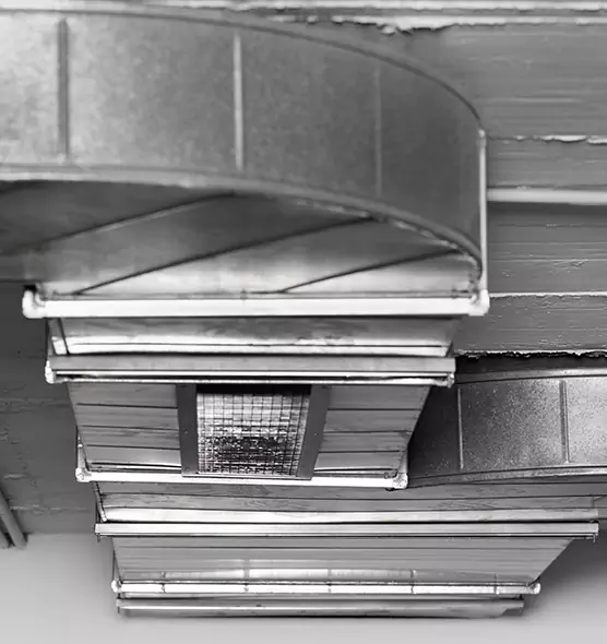 Professional Air Duct Pet Hair Removal in Brookline, MA