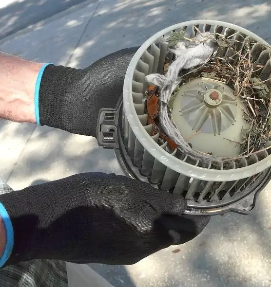 About Air Duct Rat Removal in Brookline, MA