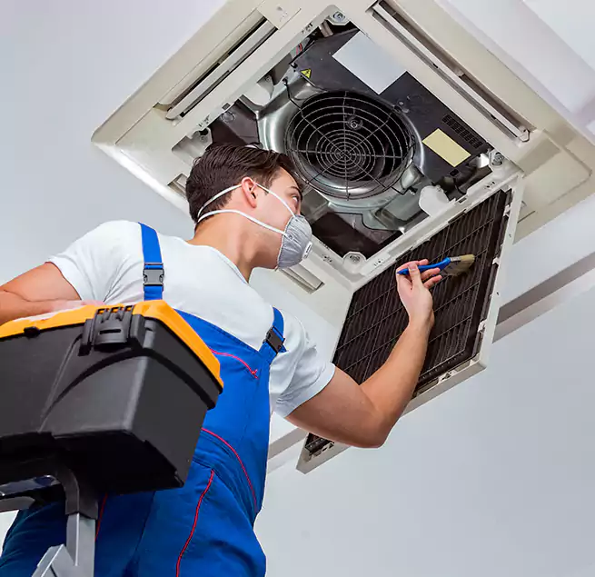 Why Homeowners & Businesses Trust Us in Brookline, MA