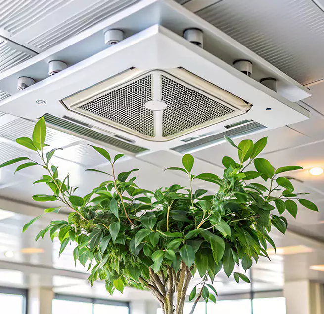 Why Homeowners & Businesses Trust Us in Brookline, MA