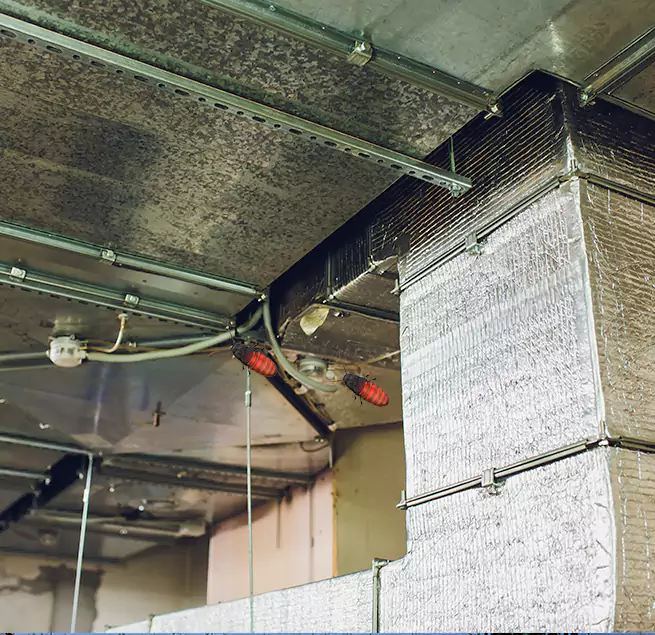 Why Homeowners & Businesses Trust Us Brookline, MA?