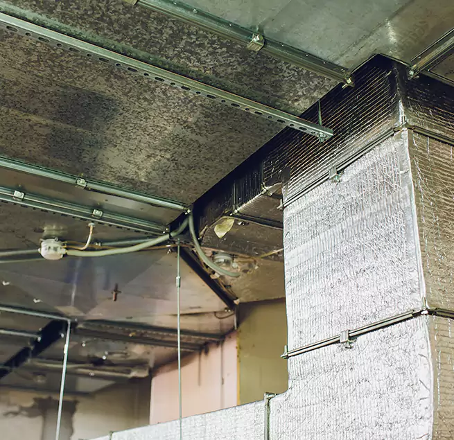 Why Homeowners & Businesses Trust Us in Brookline, MA?